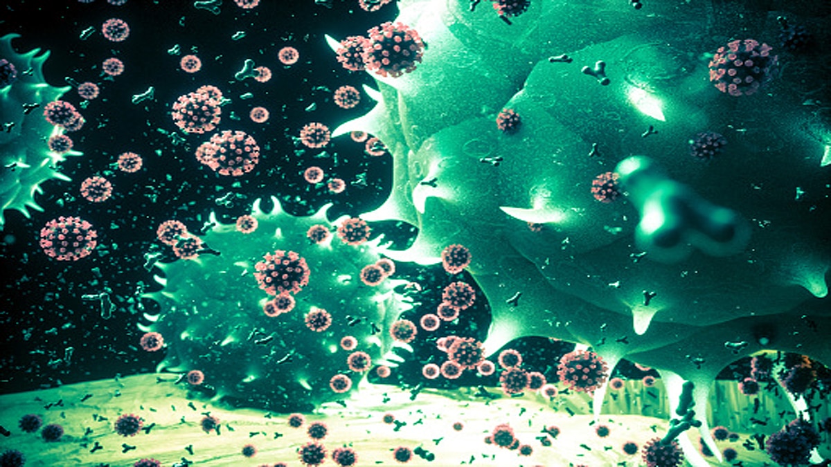 antibodies to Corona become more stronger