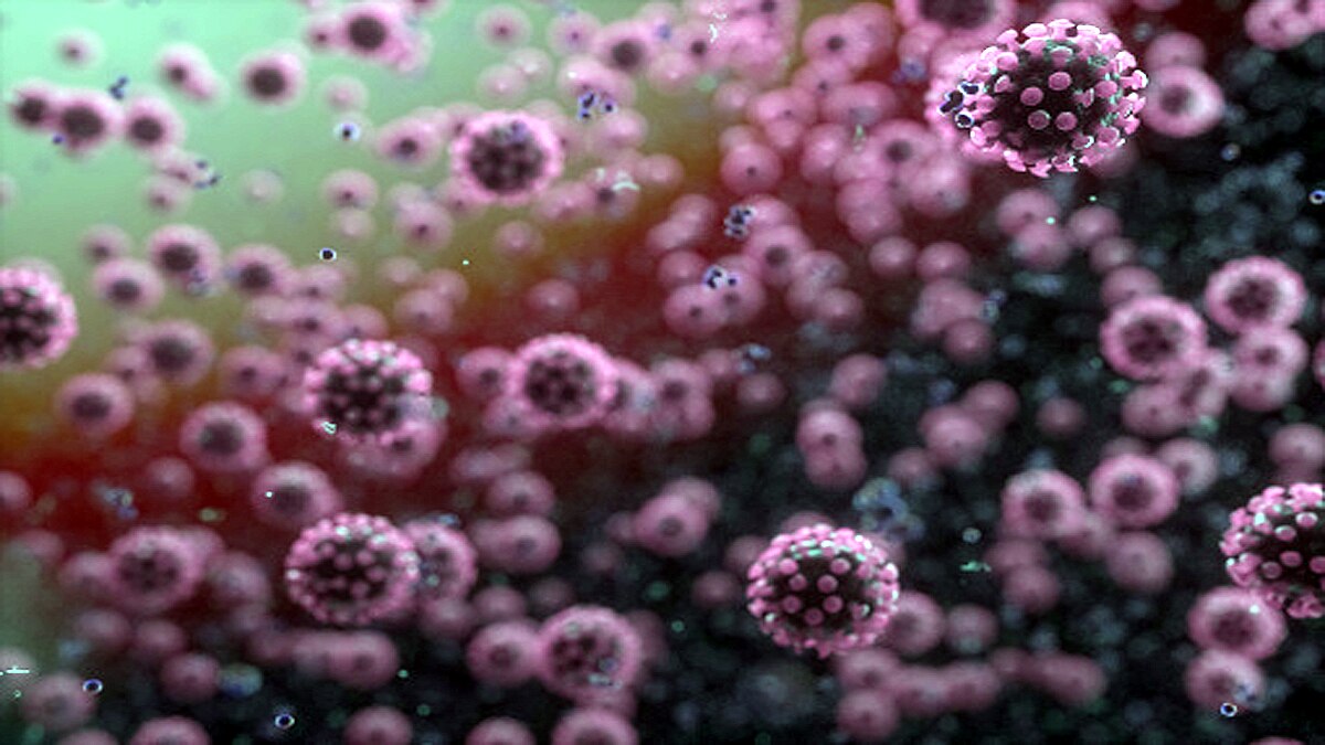 antibodies to Corona become more stronger