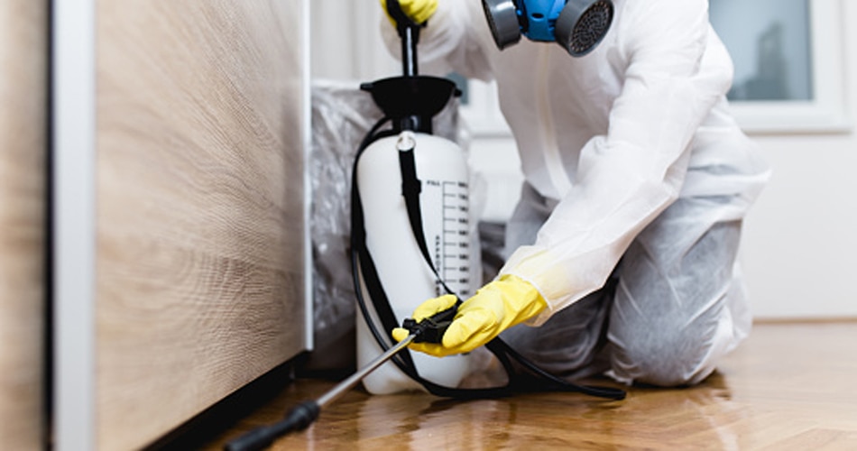 पेस्ट कंट्रोल