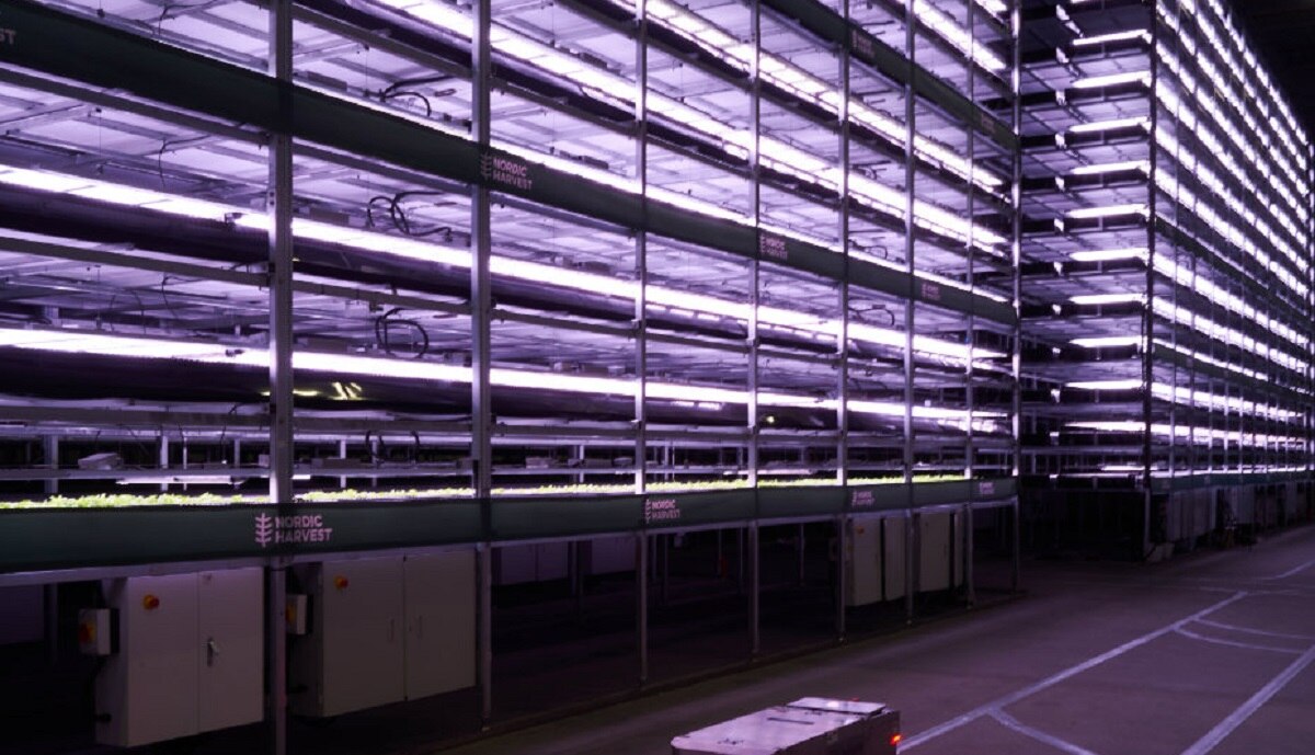 दुनिया का सबसे बड़ा वर्टिकल फार्म हाउस