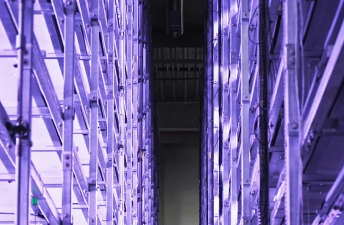 दुनिया का सबसे बड़ा वर्टिकल फार्म हाउस