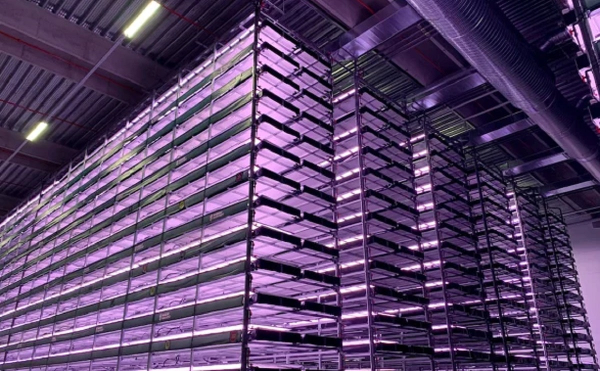 दुनिया का सबसे बड़ा वर्टिकल फार्म हाउस