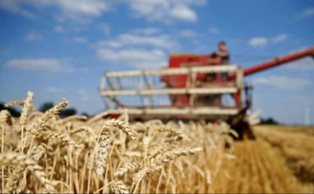 ऐसी हो गई है इमरान के नए PAK की हालत