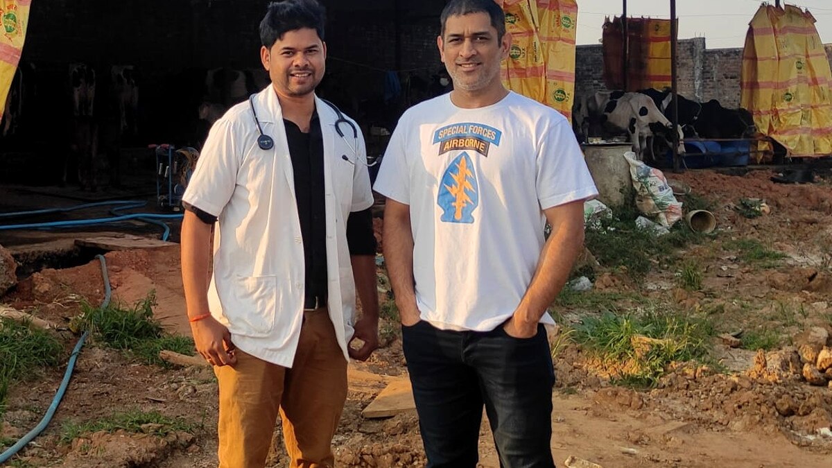गाय की स्पेशल ब्रीड तैयार करने में लगे हैं एमएस धोनी, किसानों को मुफ्त में देने का विचार 