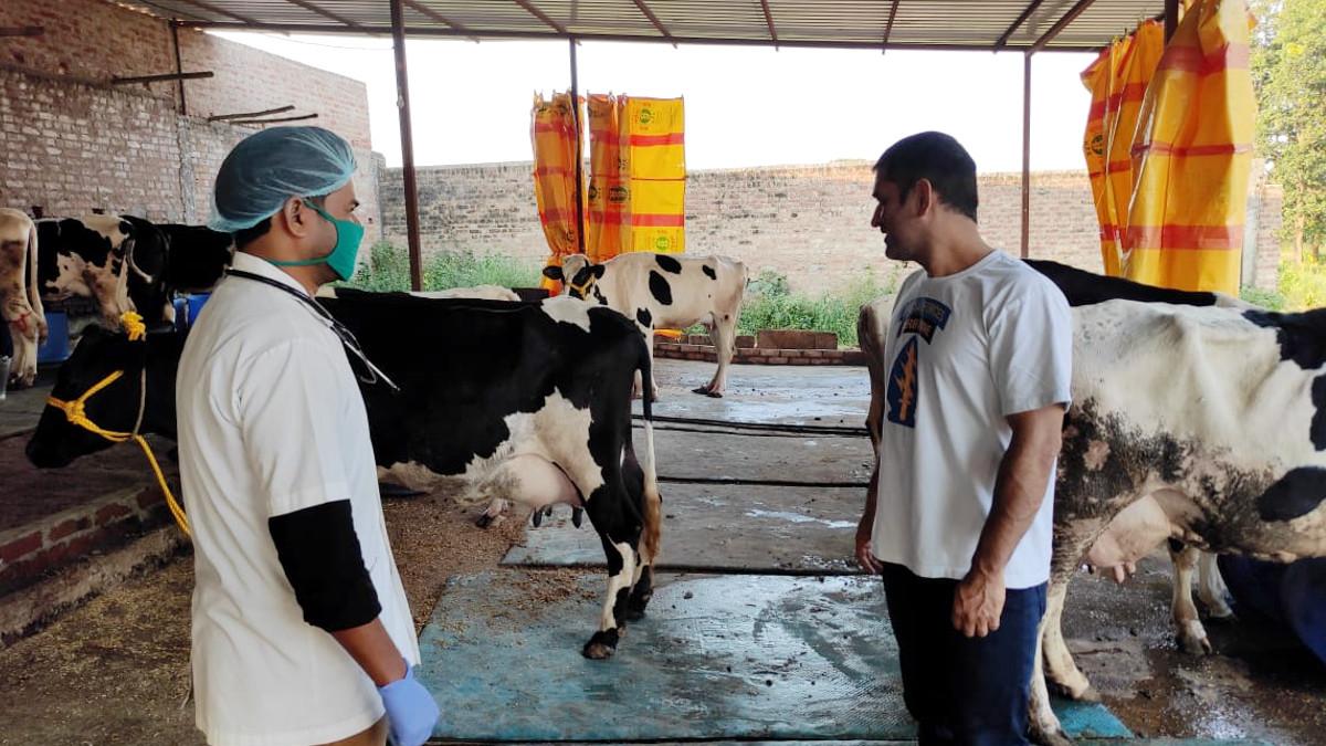 एमएस धोनी का फार्म हाउस.