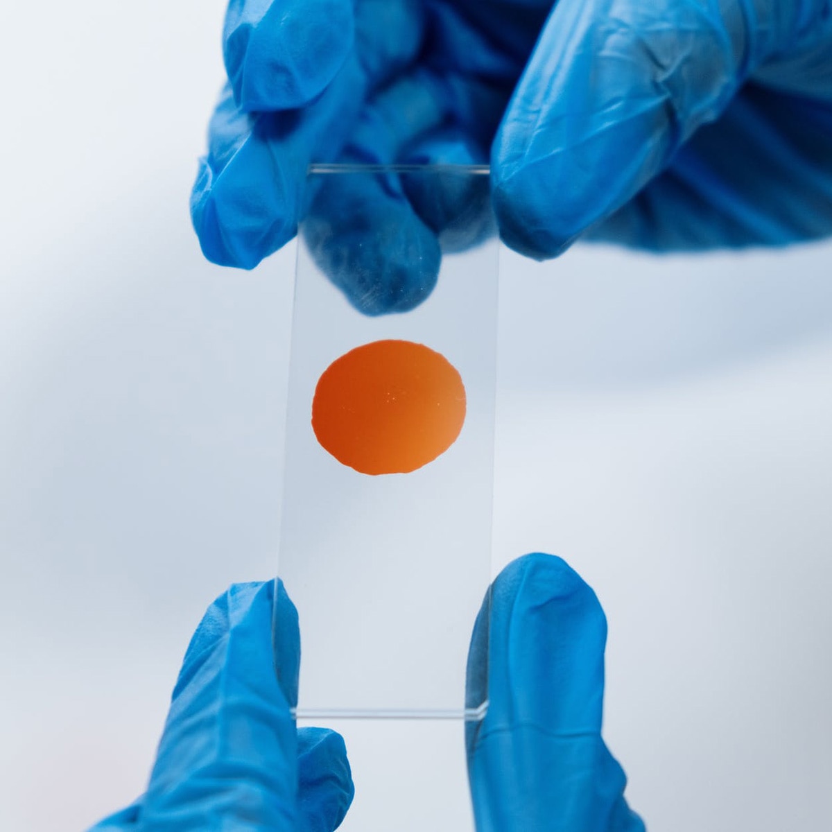 प्रतीकात्मक तस्वीर