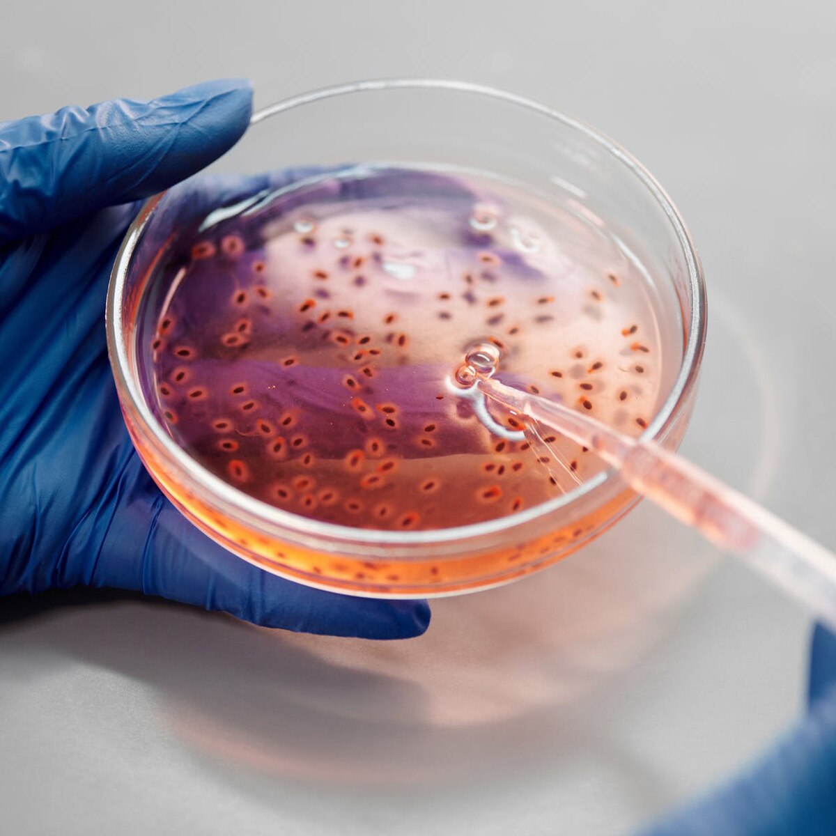 प्रतीकात्मक तस्वीर