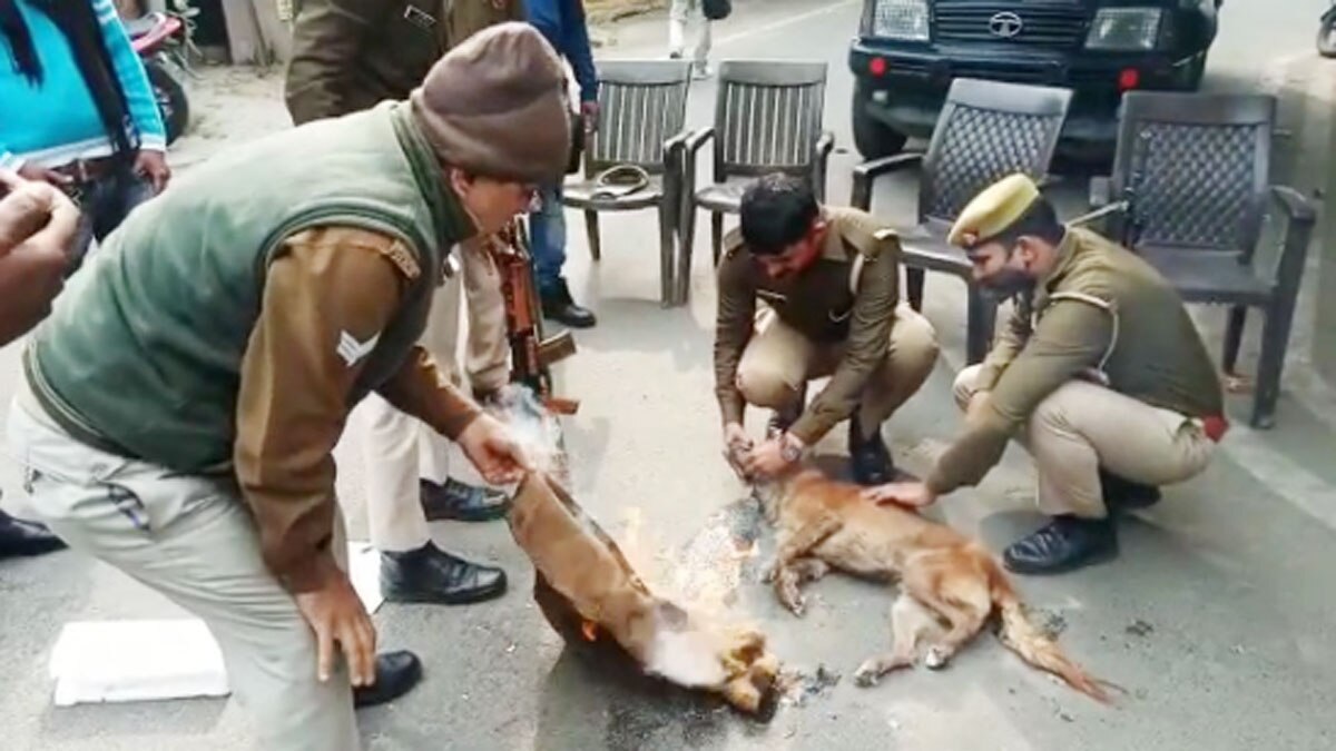कुत्ते की निकाली अंतिम यात्रा  (फोटो आजतक)