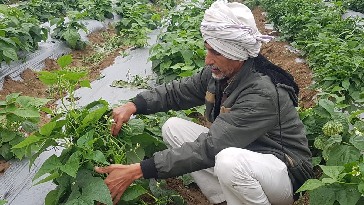 नई तकनीक से खेती करने पर कभी इन किसानों का उड़ा था मजाक, 3 साल में बदली किस्‍मत 