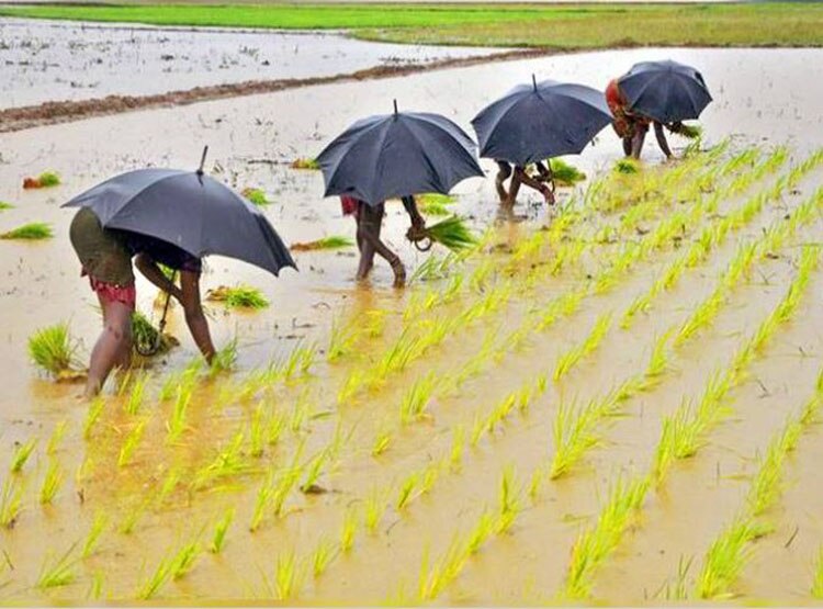 कैसे खुलवाएं किसान मानधन योजना में खाता 