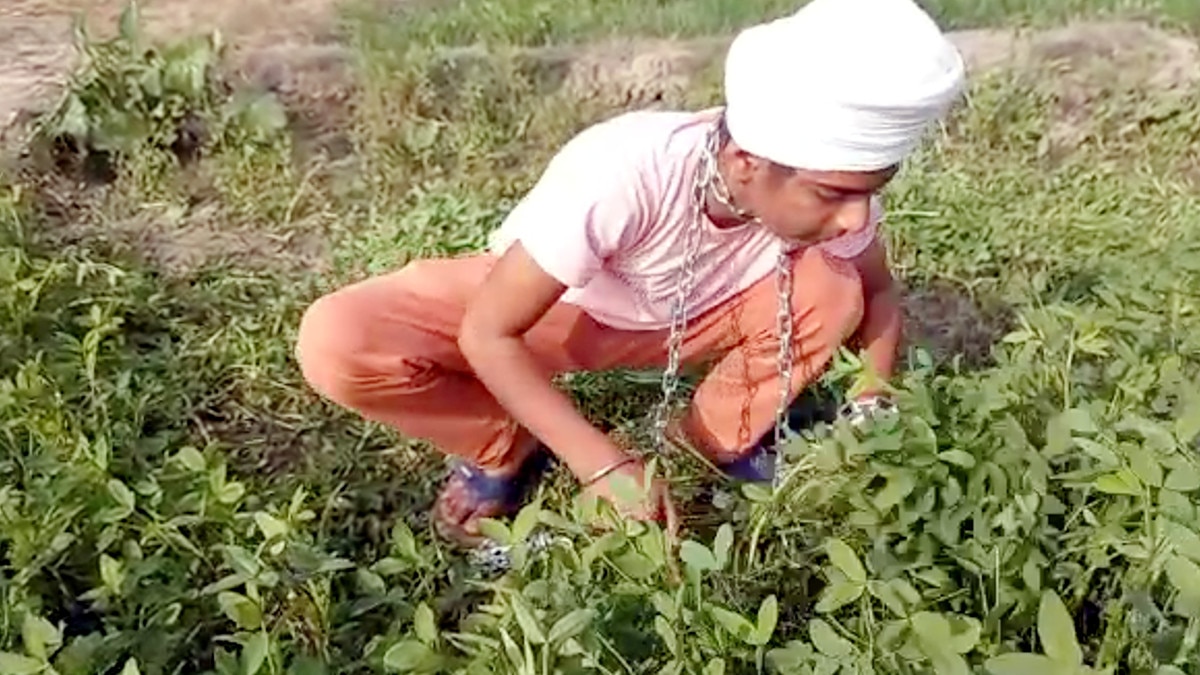  जंजीरों से खुद को बांधकर खेतों में काम रहे किसान