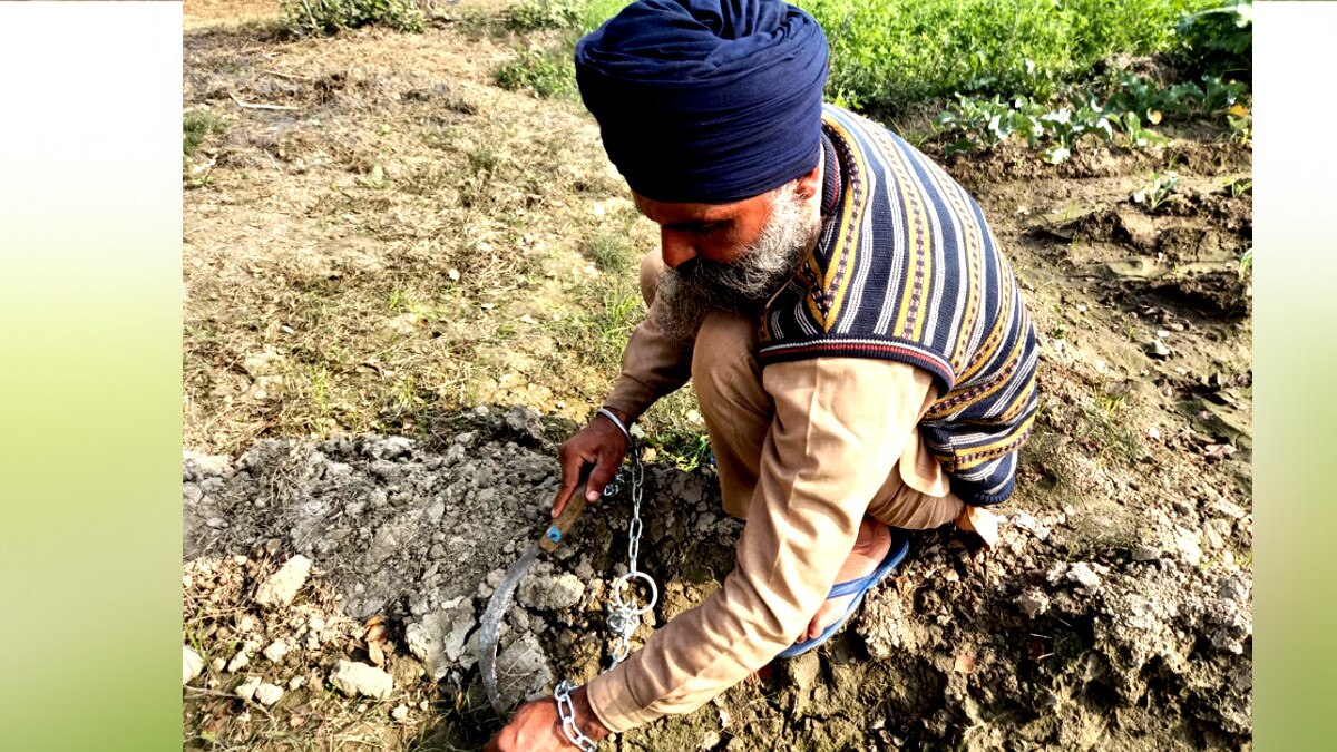  जंजीरों से खुद को बांधकर खेतों में काम रहे किसान