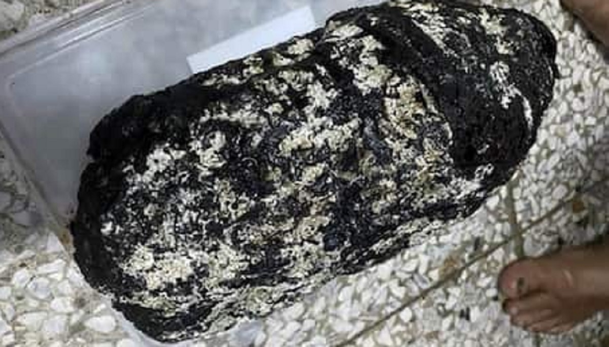 करोड़पति बना गया मछुआरा