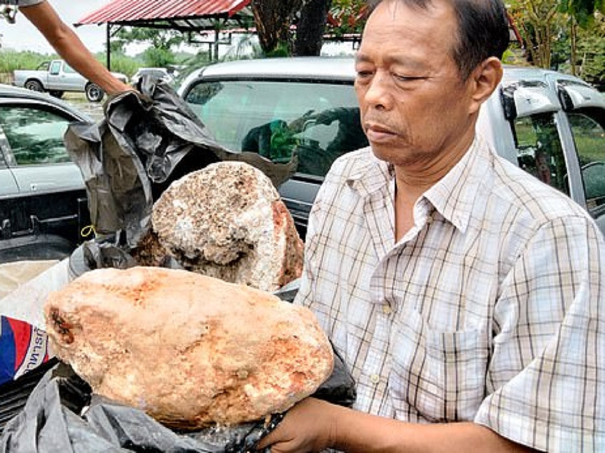 करोड़पति बना गया मछुआरा