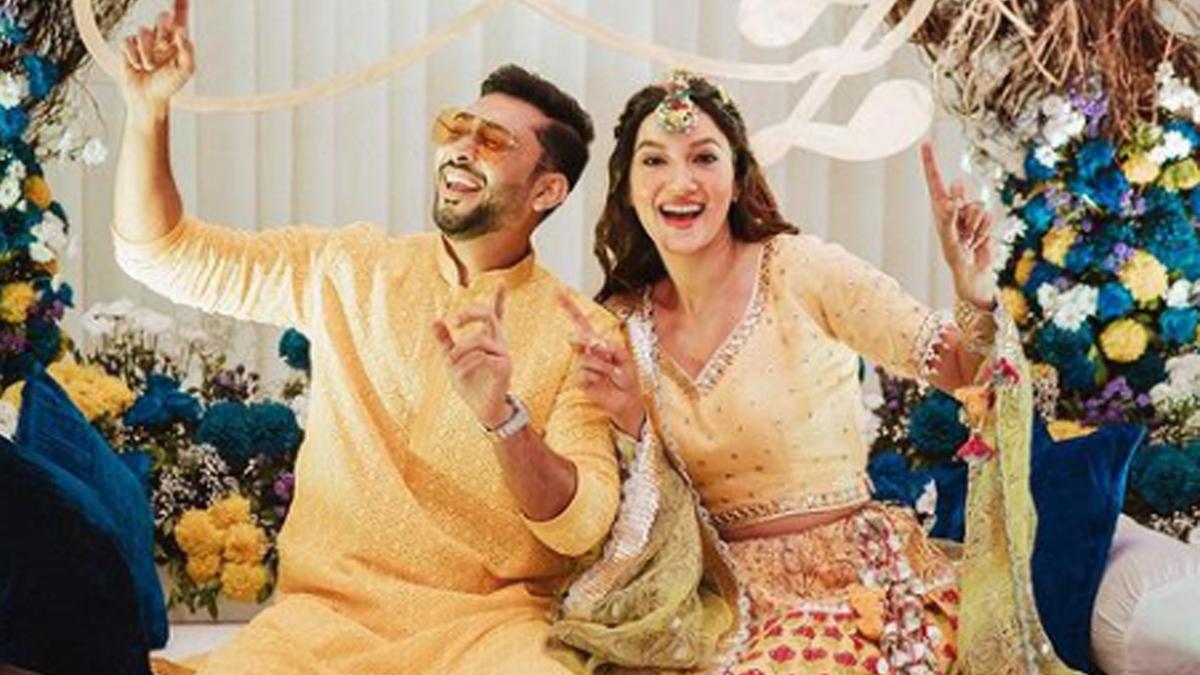 जैद दरबार-गौहर खान 