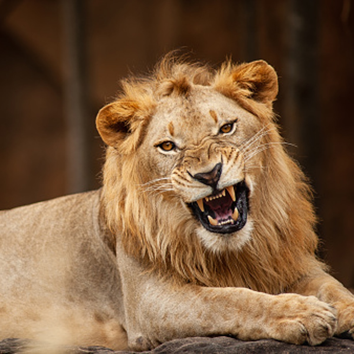 प्रतीकात्मक तस्वीर