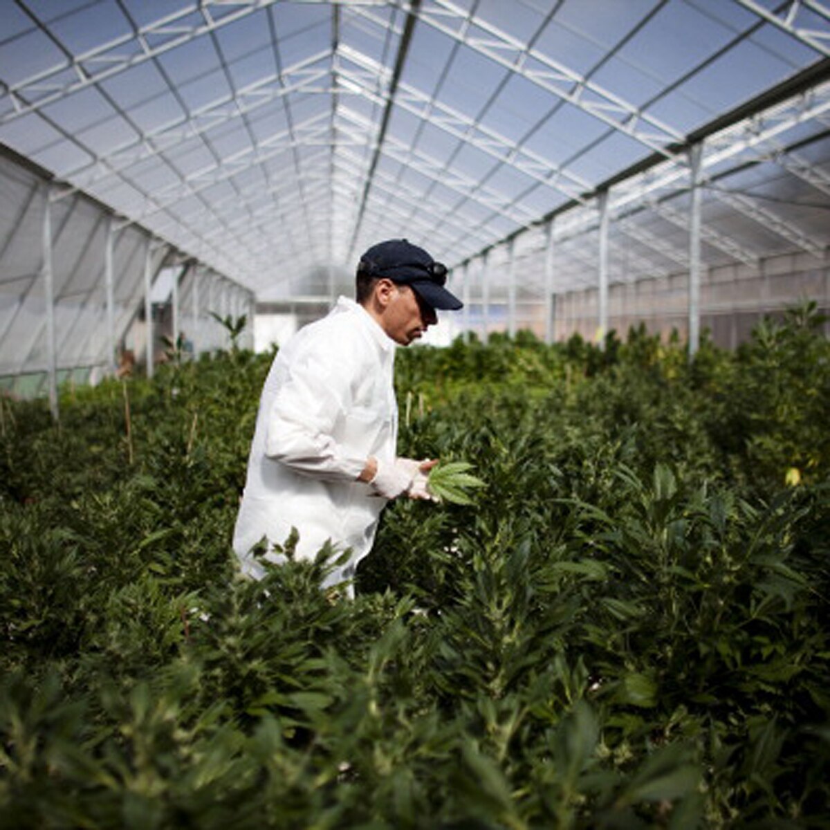 प्रतीकात्मक तस्वीर