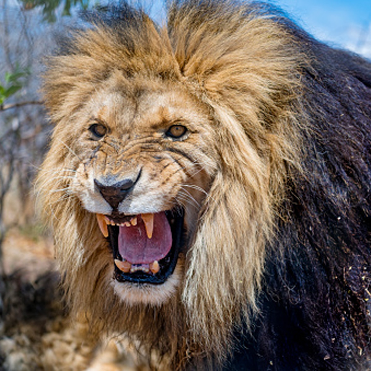 प्रतीकात्मक तस्वीर