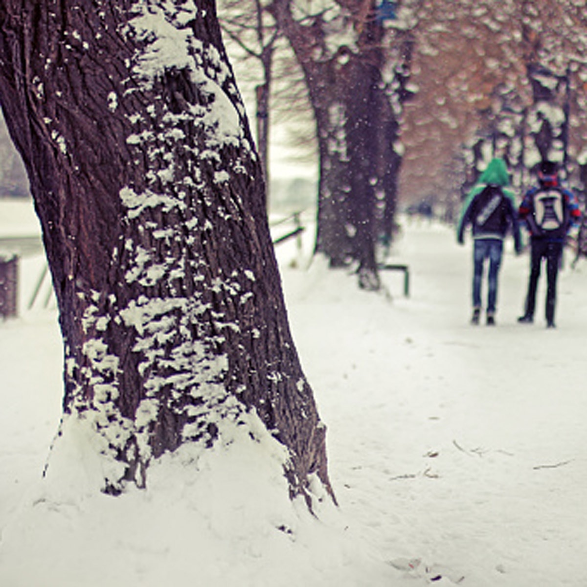प्रतीकात्मक तस्वीर