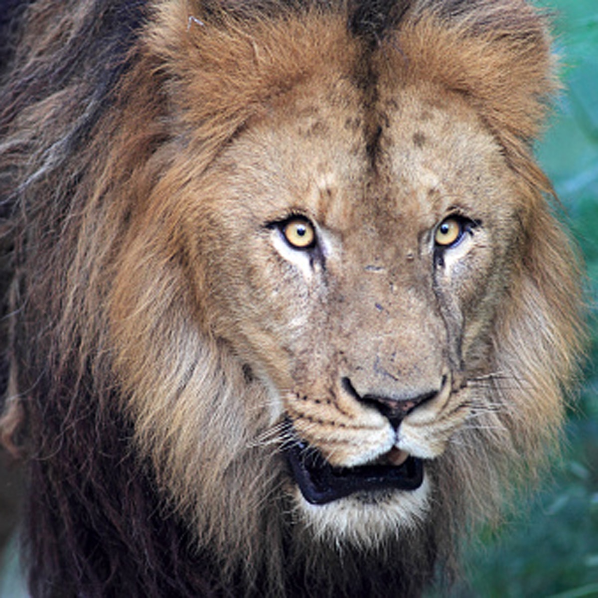 प्रतीकात्मक तस्वीर