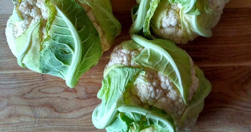 गंभीर बीमारियों का खतरा कम