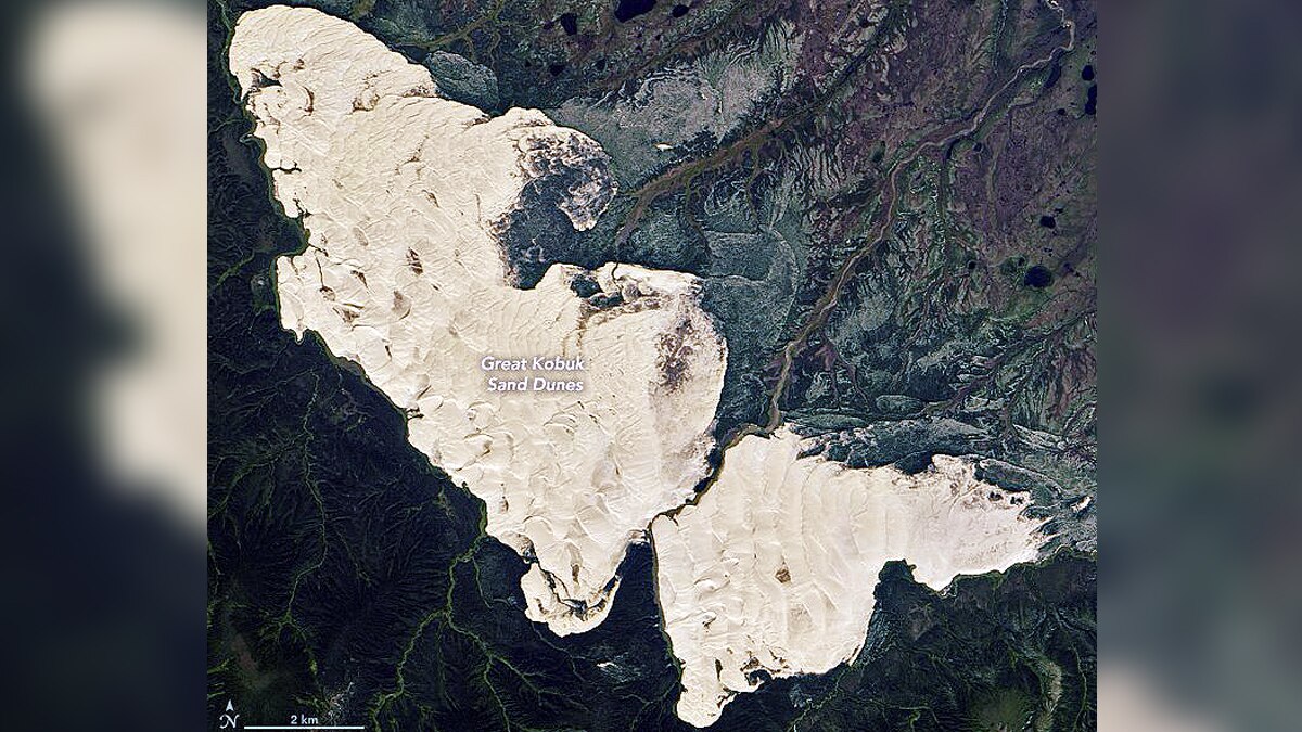 Desert in Forest great kobuk Sand dunes of Alaska