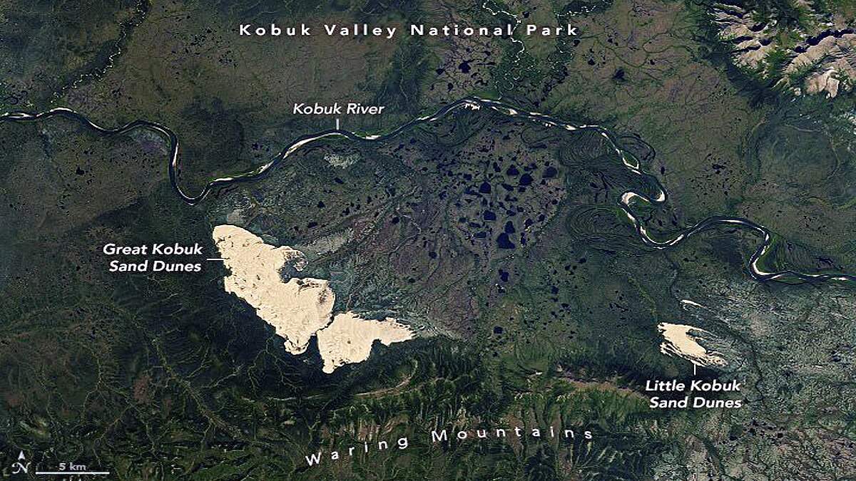 Desert in Forest great kobuk Sand dunes of Alaska