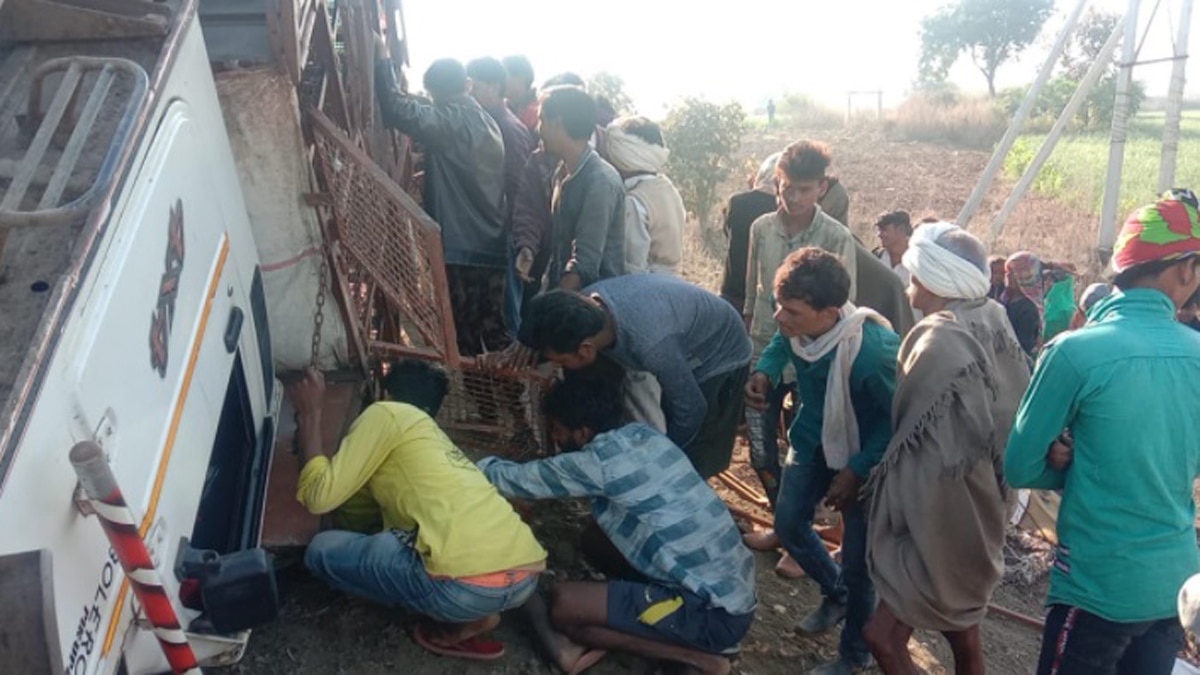 गाड़ी में 1000 मुर्गियां थीं और 300 से 400 ही बचीं.