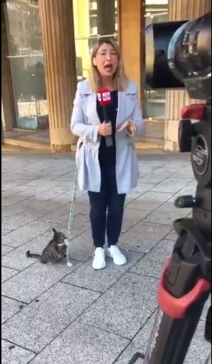 पत्रकार के पीछे पड़ी बिल्ली