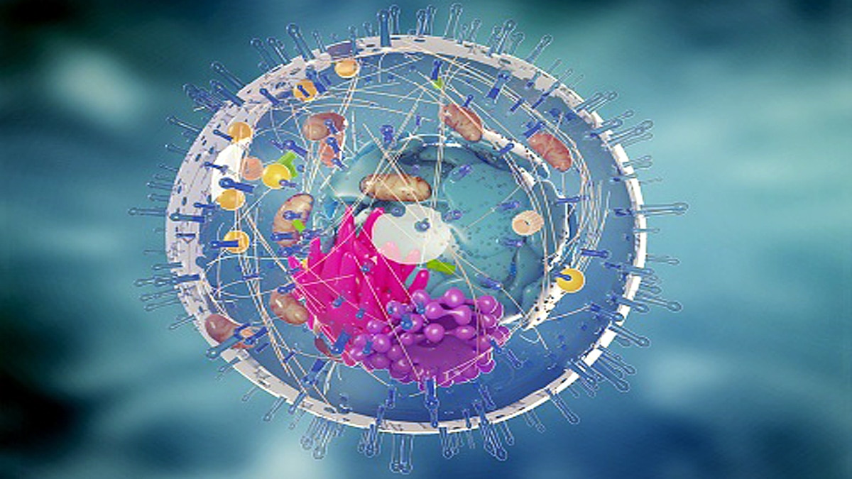 new method of measuring electricity in cells found
