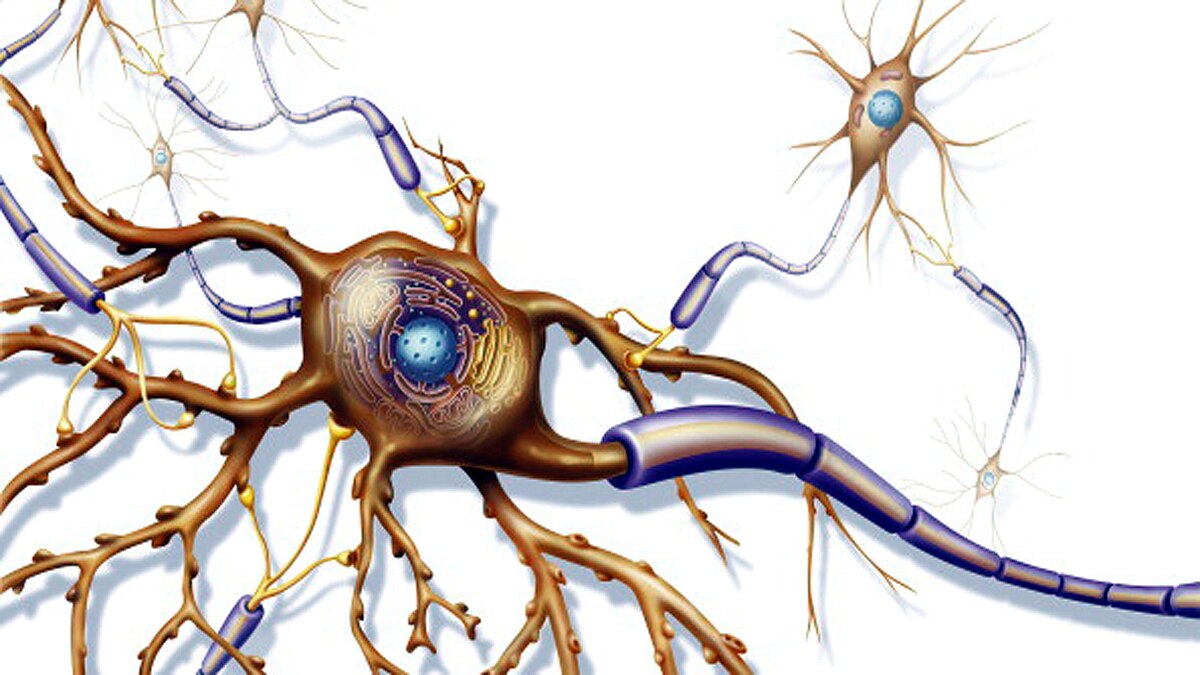 new method of measuring electricity in cells found
