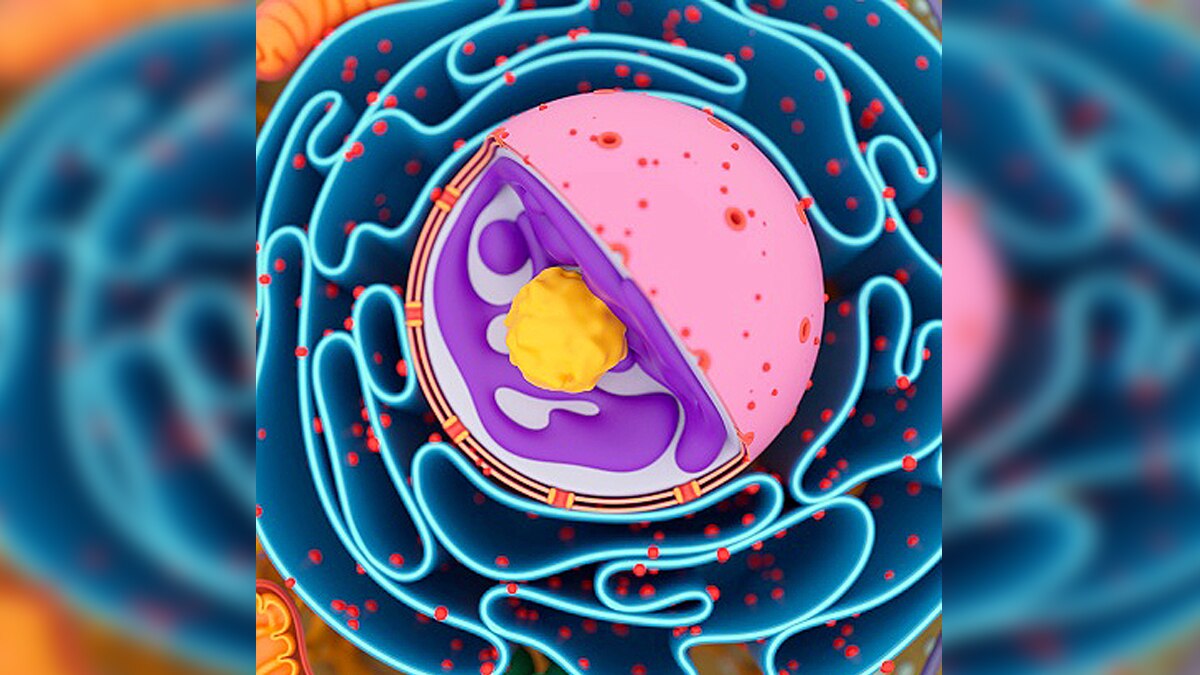 new method of measuring electricity in cells found