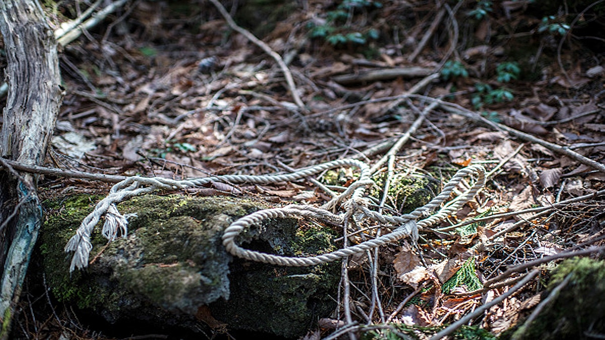 Why Suicide Rate is more in Japan 