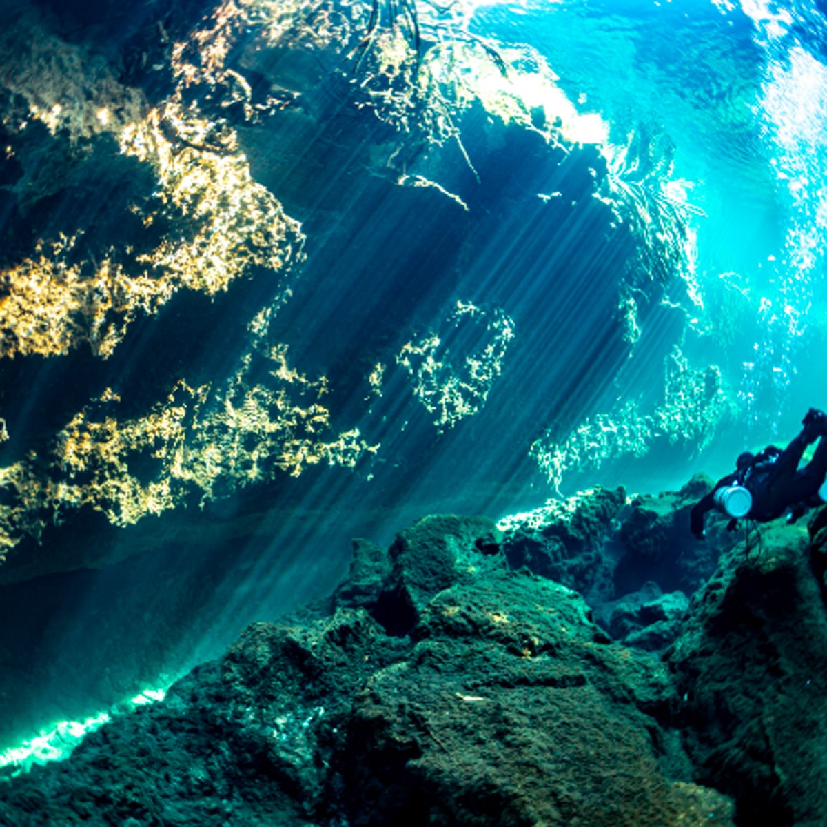 प्रतीकात्मक तस्वीर