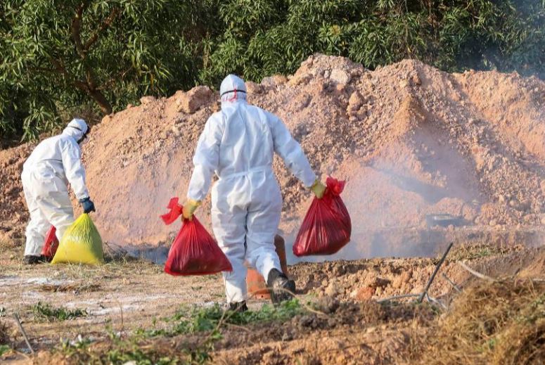 महामारी ने मचाया कोहराम