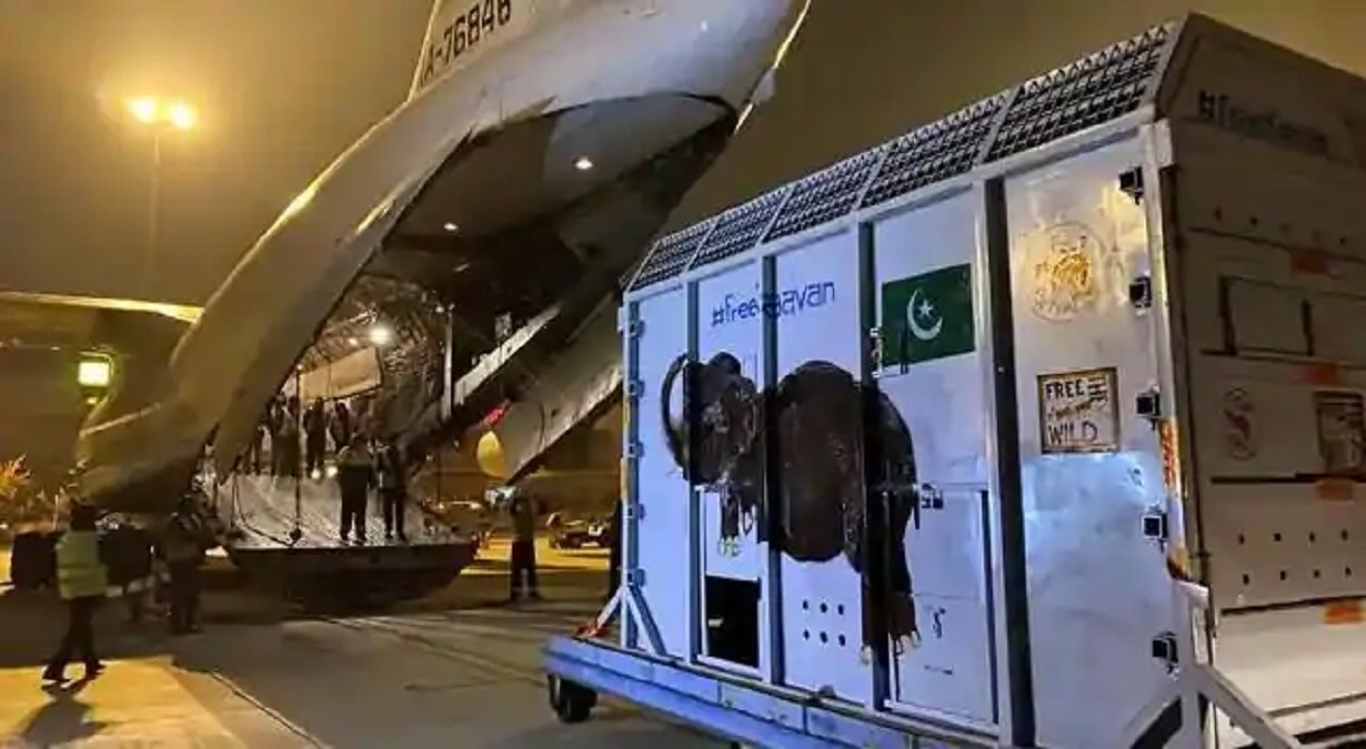 पाकिस्तान के चंगुल से छूटा कावन हाथी