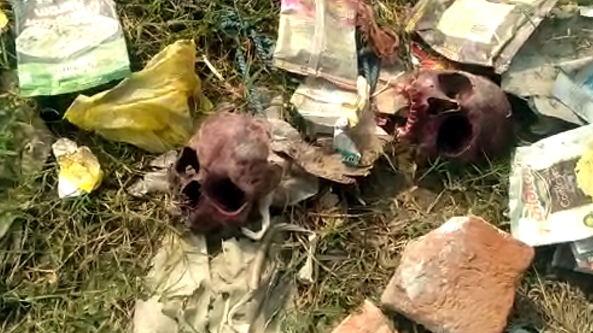 कानपुरः नरमुंडों से प्रेमी के लिए तंत्र साधना करती थी महिला, पुलिस ने किया गिरफ्तार