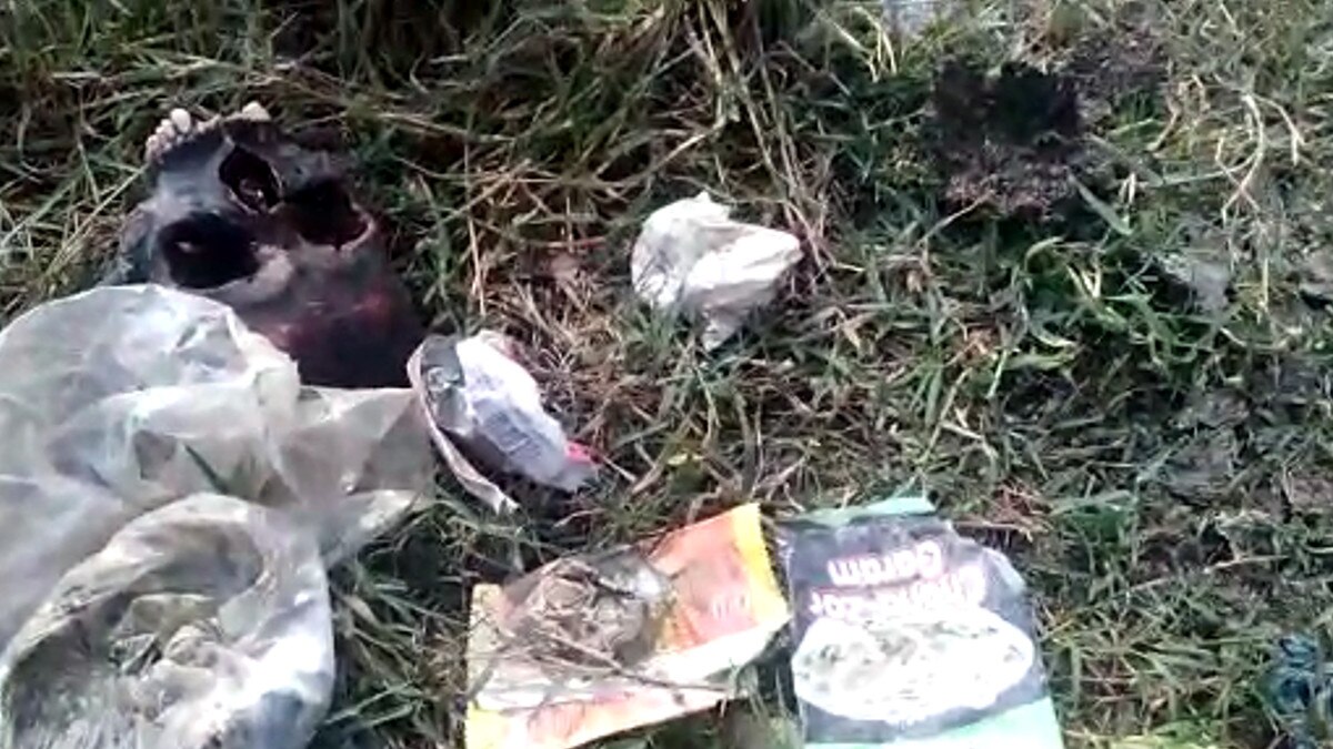 कानपुरः नरमुंडों से प्रेमी के लिए तंत्र साधना करती थी महिला, पुलिस ने किया गिरफ्तार