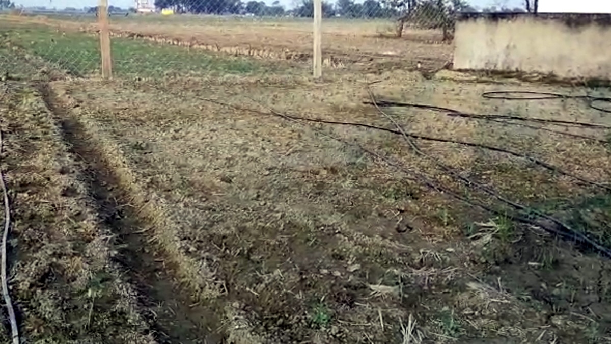 एमबीए, बीएससी व बीकॉम की पढ़ाई पूरी कर संभाली खेती, पहले ही सीजन में 5 एकड़ खेती से कमाया 10 लाख 