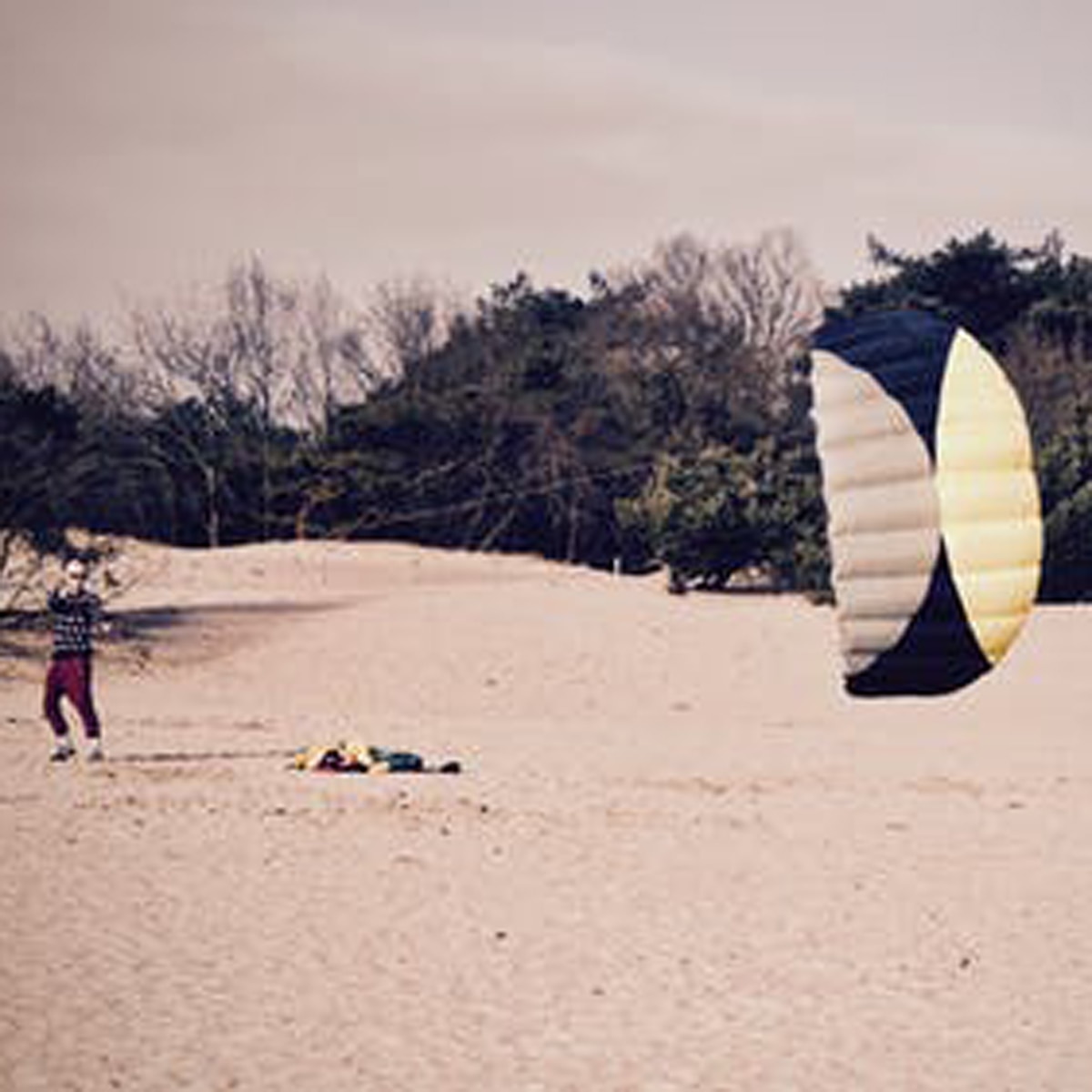 प्रतीकात्मक तस्वीर