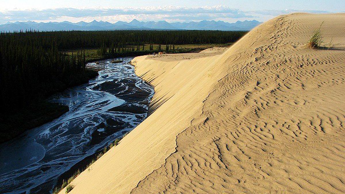 Desert in Forest great kobuk Sand dunes of Alaska