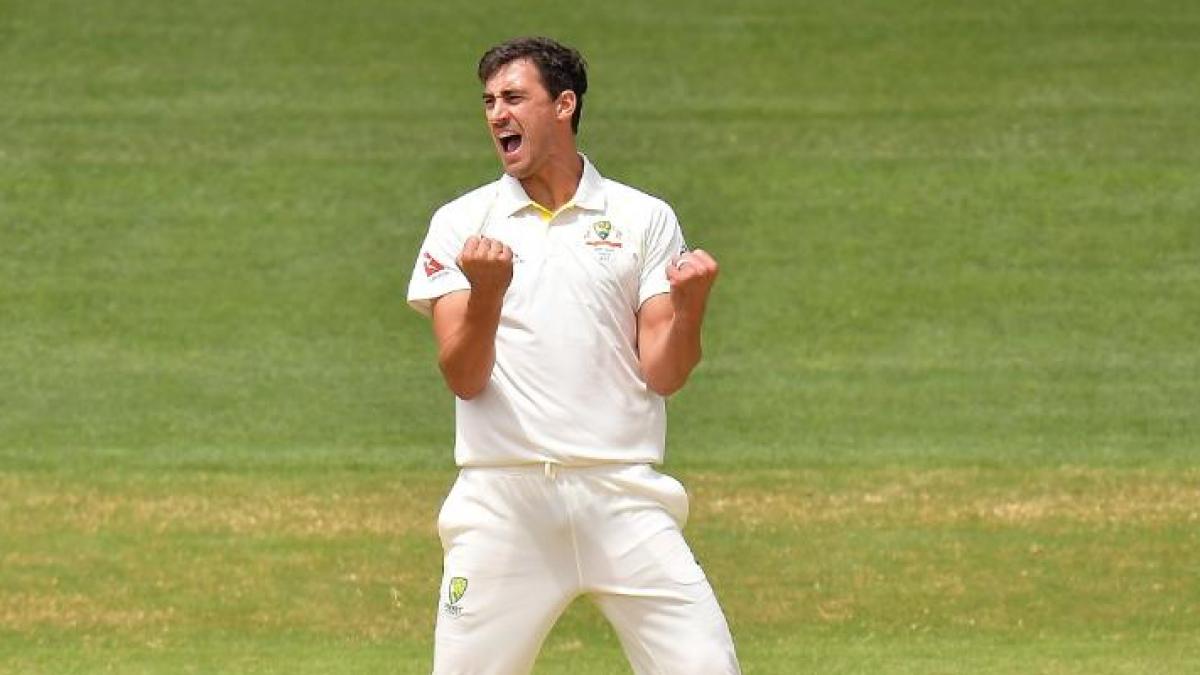 Mitchell Starc (Getty)