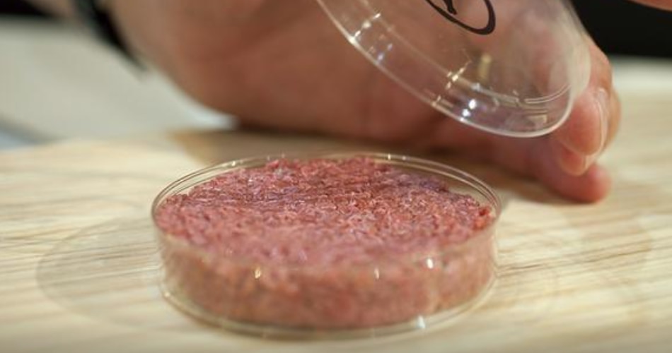 LAB GROWN MEAT