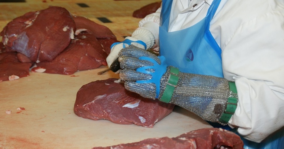 बेल्जियम6