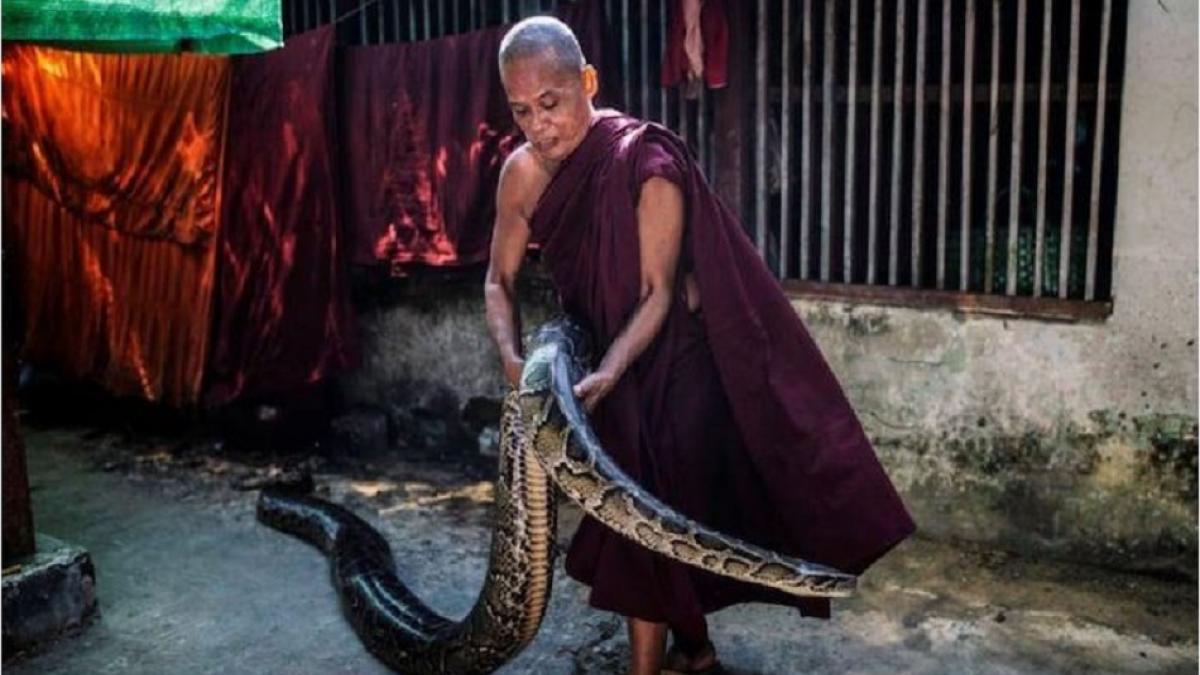 बौद्ध भिक्षु विलेथा सिकटा