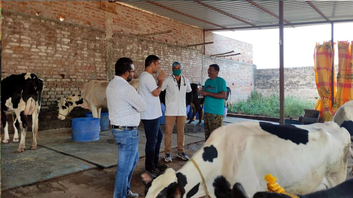 धोनी के फार्म की सब्‍ज‍ियां मार्केट में उतरीं, सस्‍ते दामों में बिके ऑर्गेनिक टमाटर और गोभी 