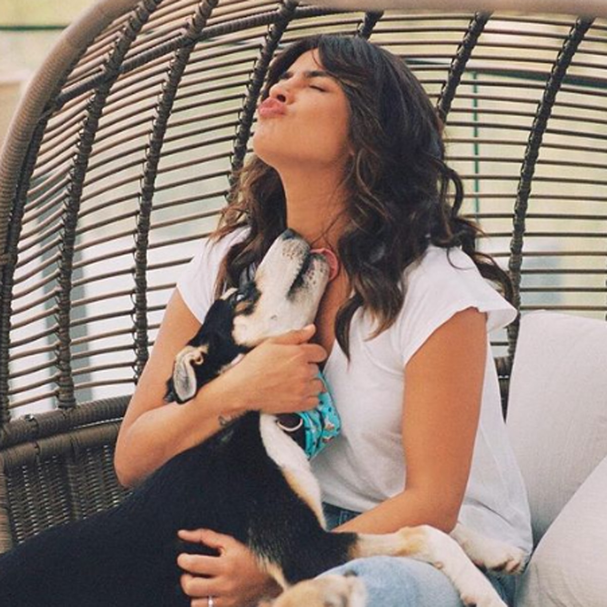 प्रियंका