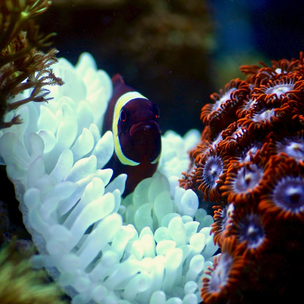 प्रतीकात्मक तस्वीर