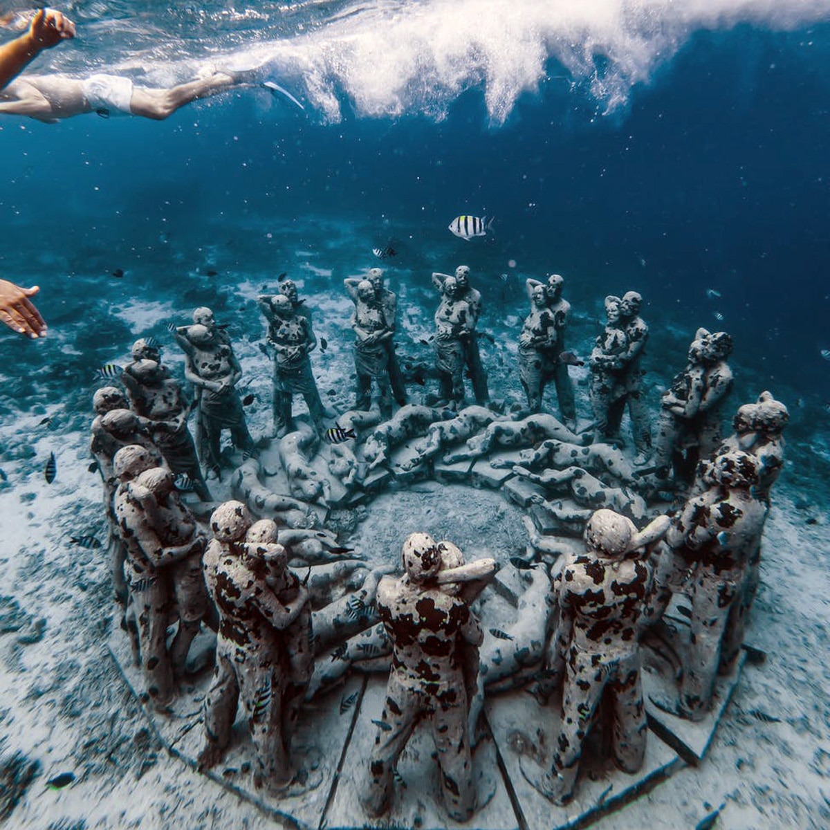 प्रतीकात्मक तस्वीर