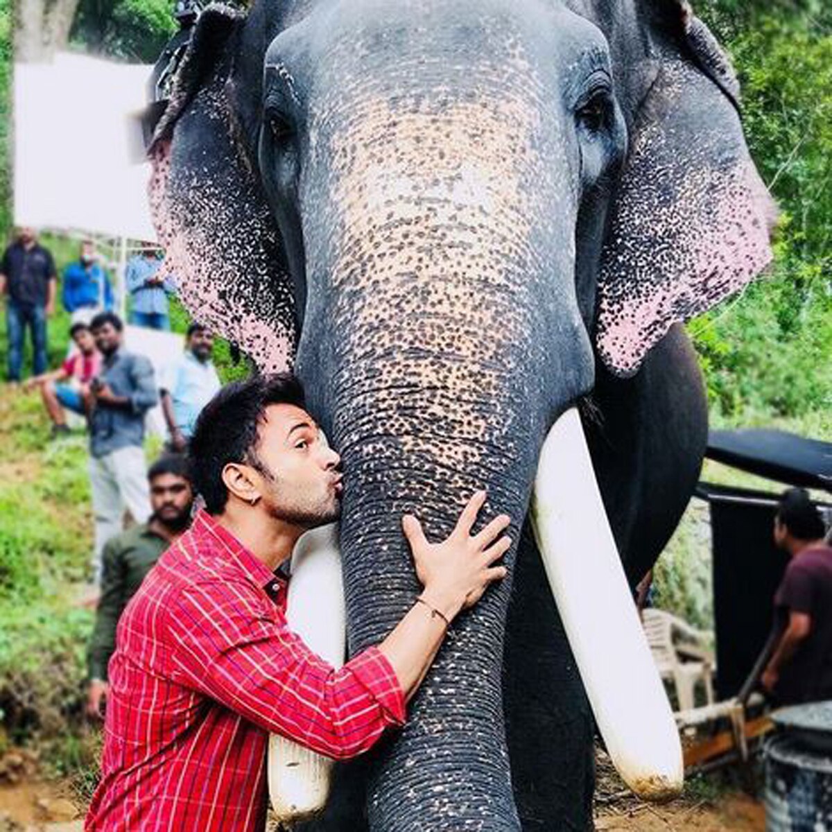 हाथी मेरे साथी